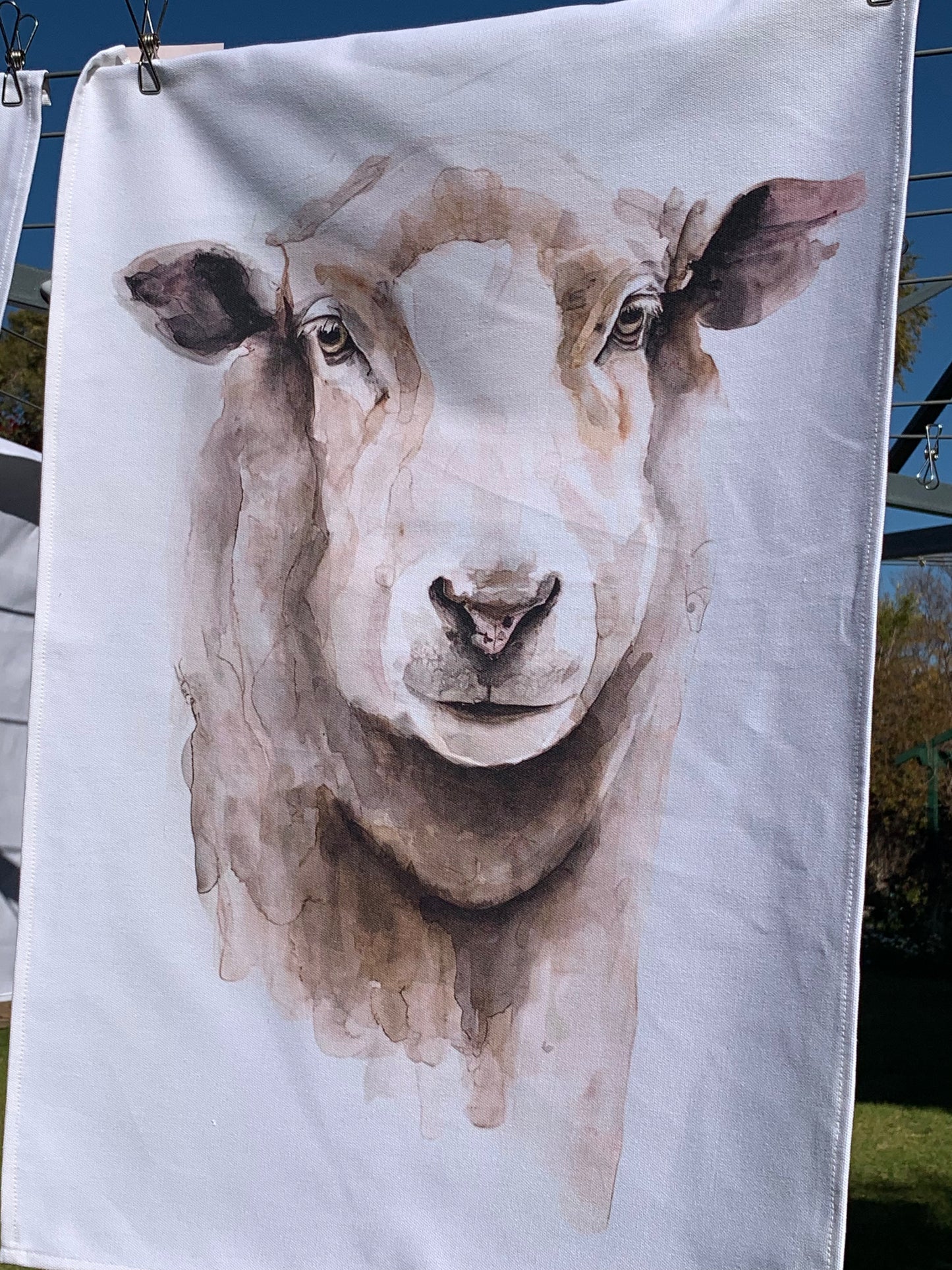 Cotton T Towels