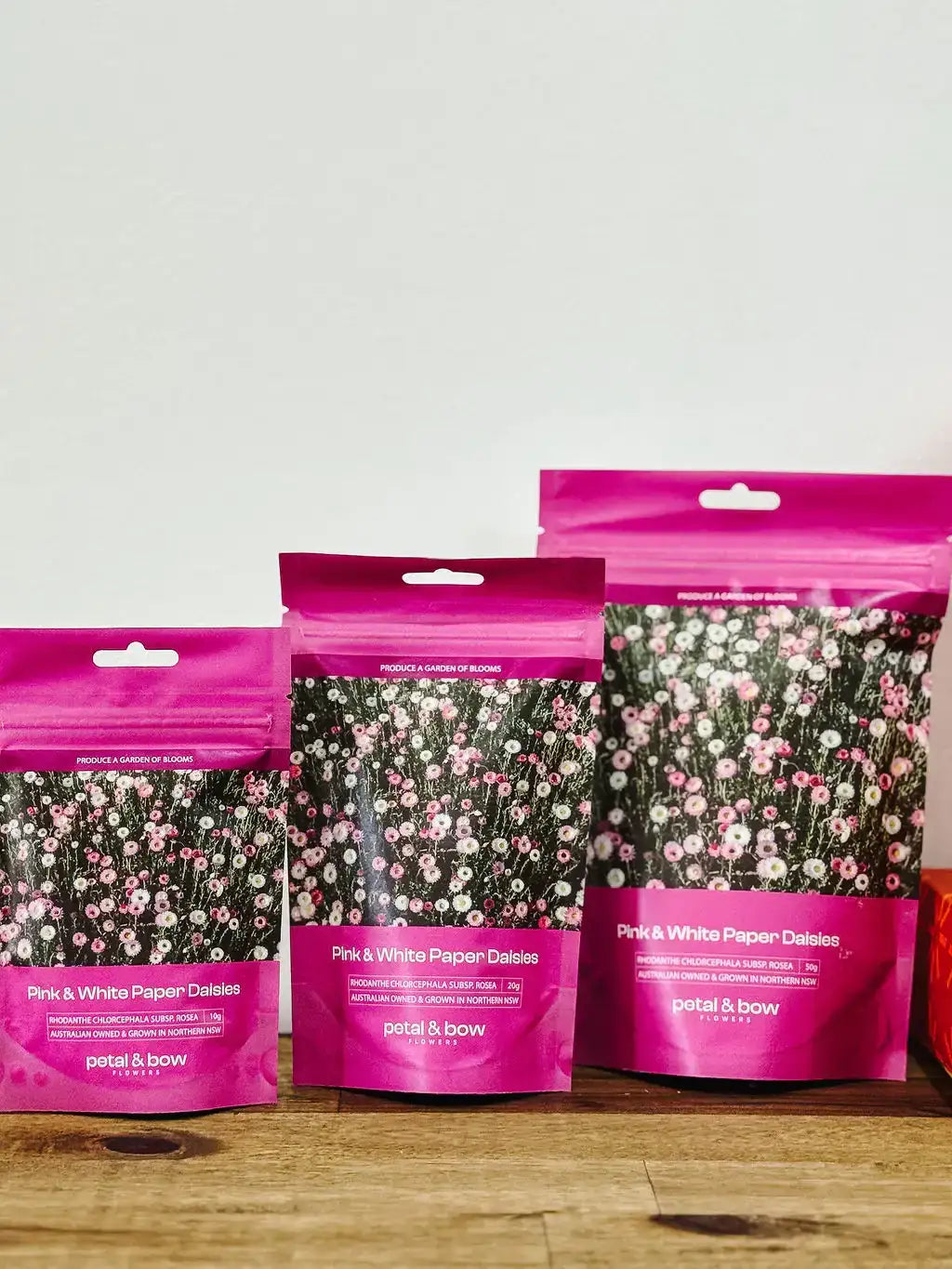 20g Pink and White Everlasting Paper Daisy Seed