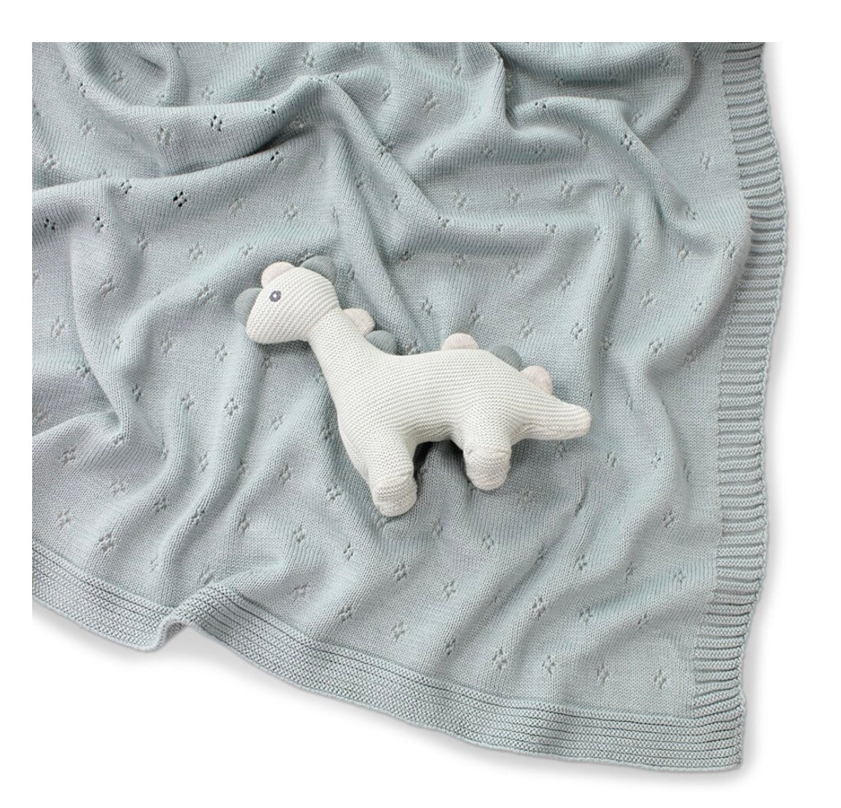 Dino Rattle Baby Toy