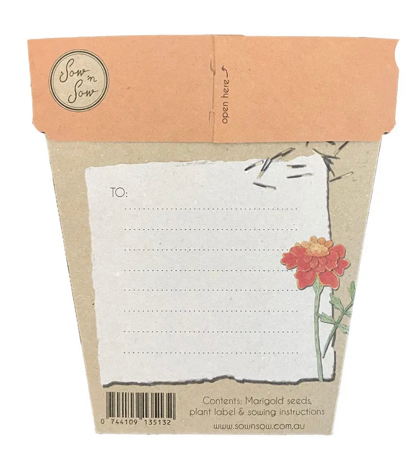 Marigolds A gift of seeds