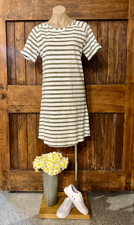 C + P + S Raglan Sleeve Dress Twig Green