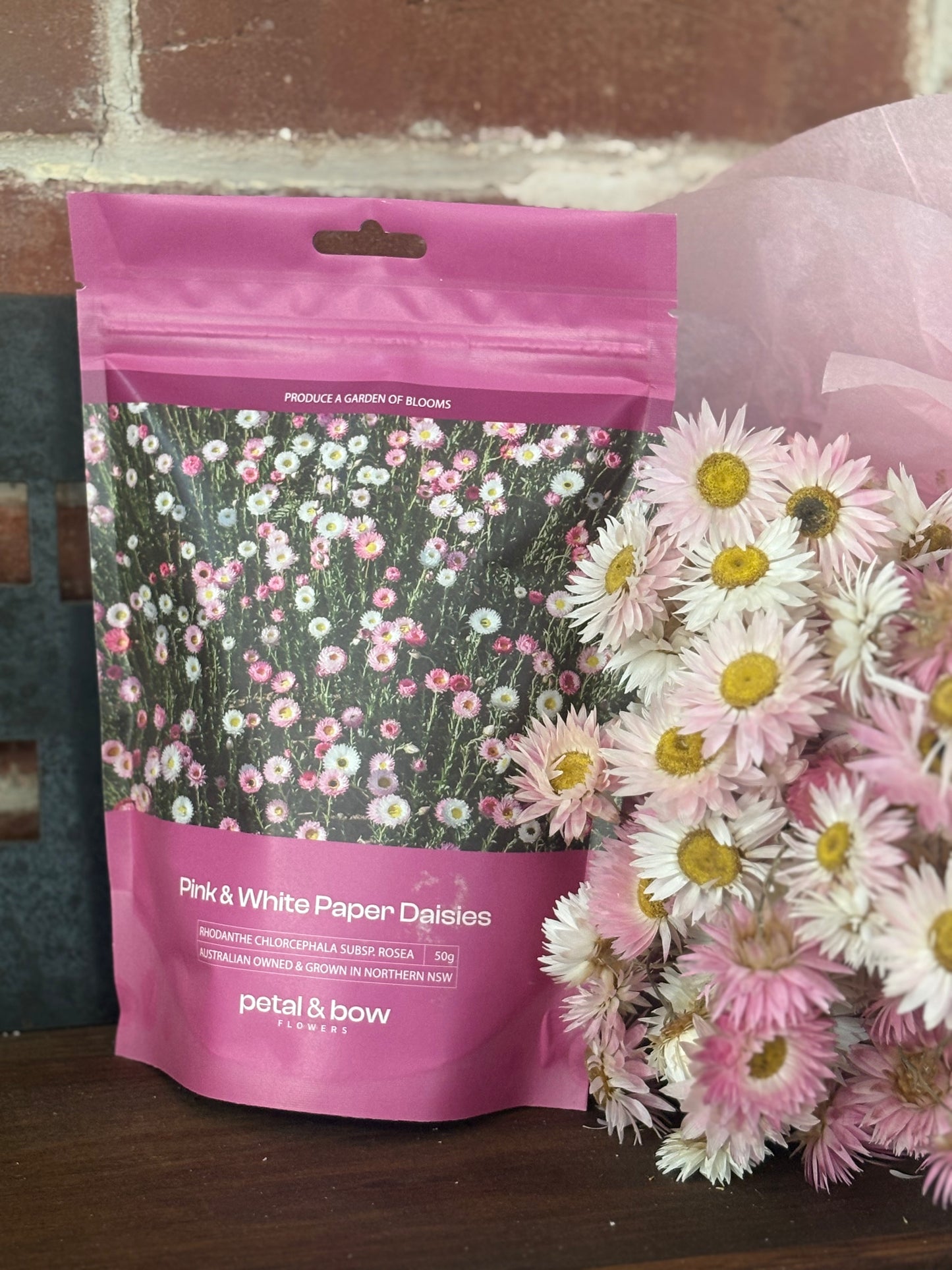 20g Pink and White Everlasting Paper Daisy Seed