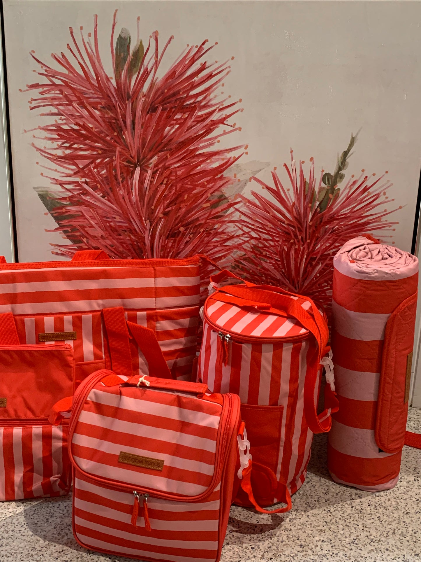 Picnic Lunch Bag - Red Stripe