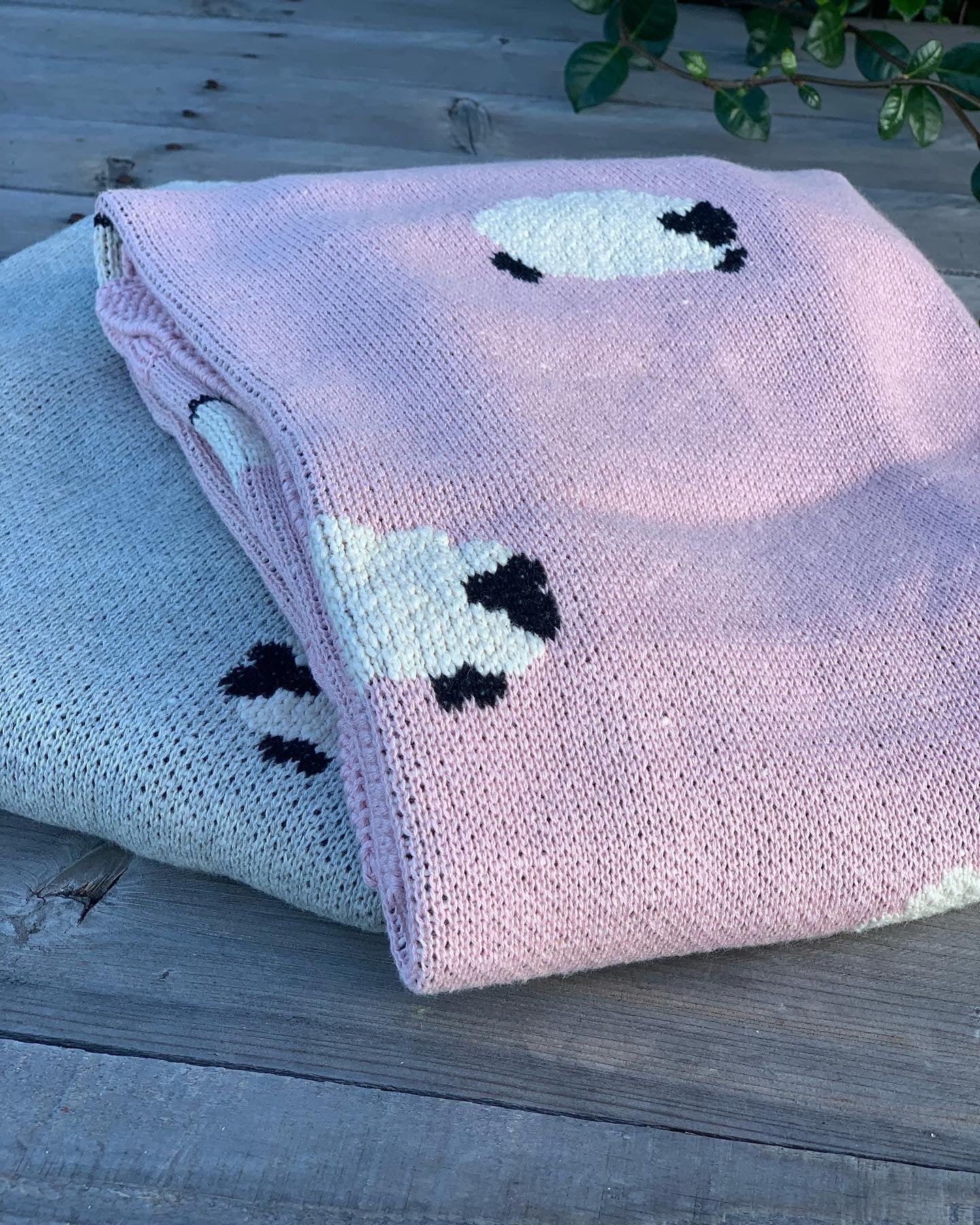 Baa Baa Blanket Organic Cotton - Pink
