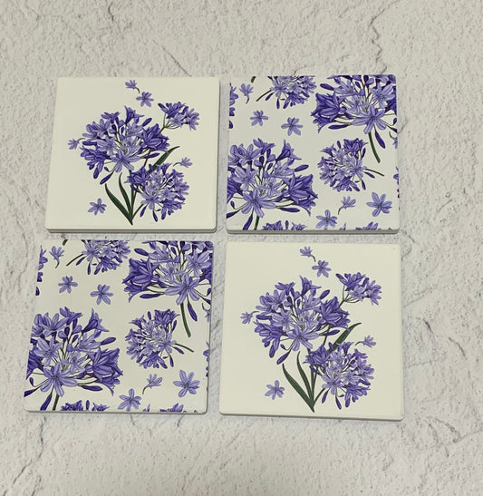 Coasters - Agapanthus
